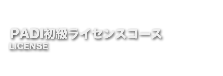 PIDI初級ライセンスコース