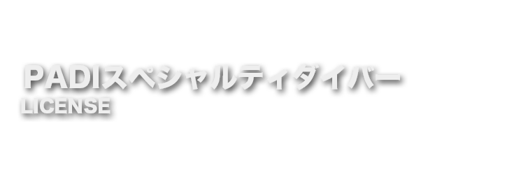 PIDIスペシャルティダイバー