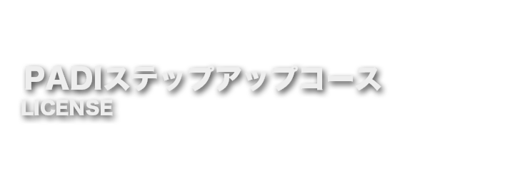 PIDIステップアップコース