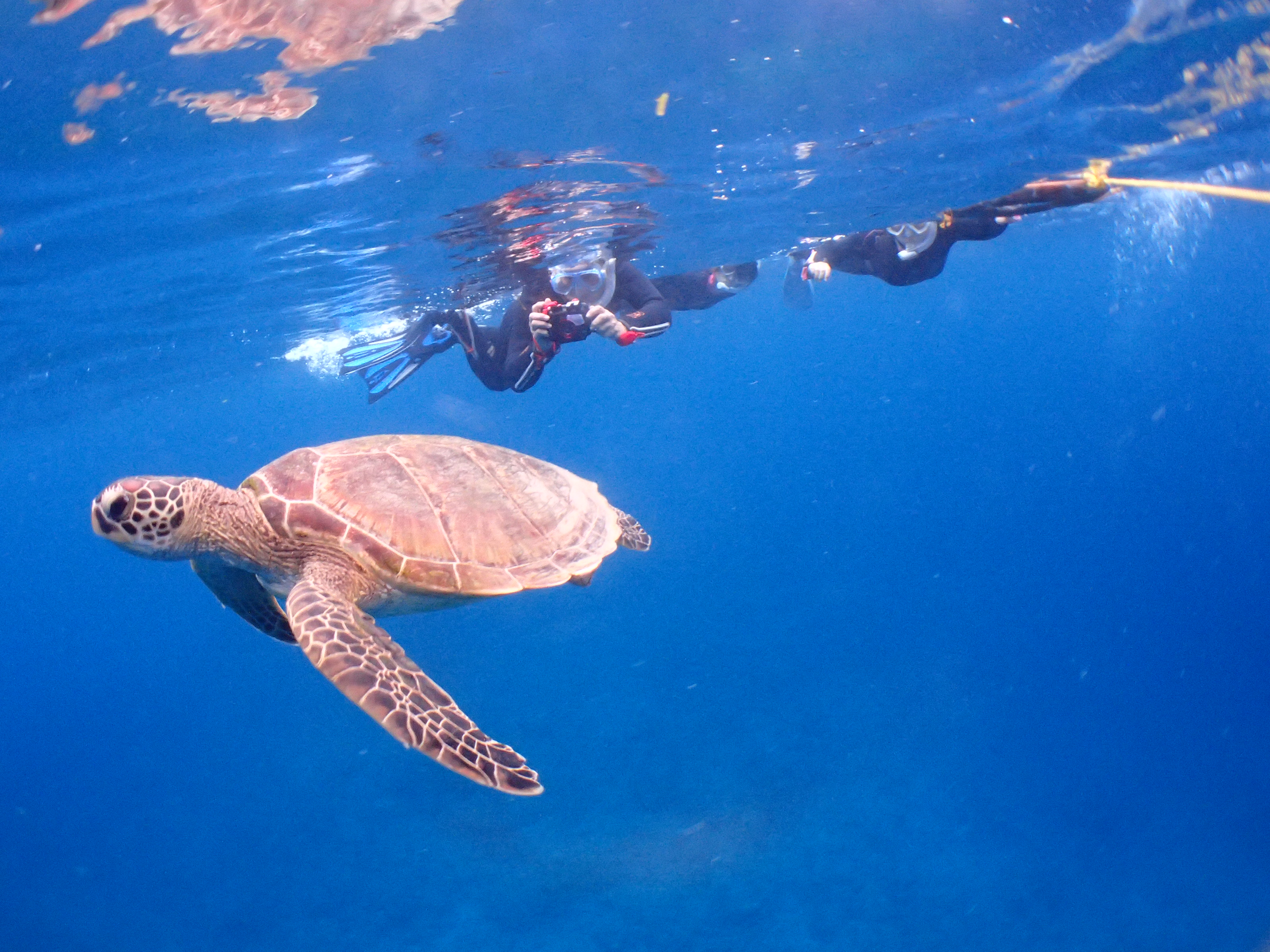 石垣島でのダイビングイメージ画像　ダイビングはPADIのライセンスが取得出来る、石垣島の【南ぬ島 DIVE SITE】で