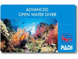 石垣島でのダイビングイメージ画像　ダイビングはPADIのライセンスが取得出来る、石垣島の【南ぬ島 DIVE SITE】で