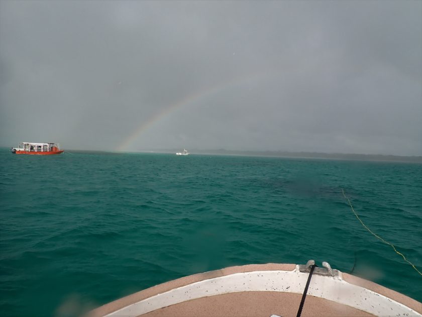 どんよりな空に虹🌈