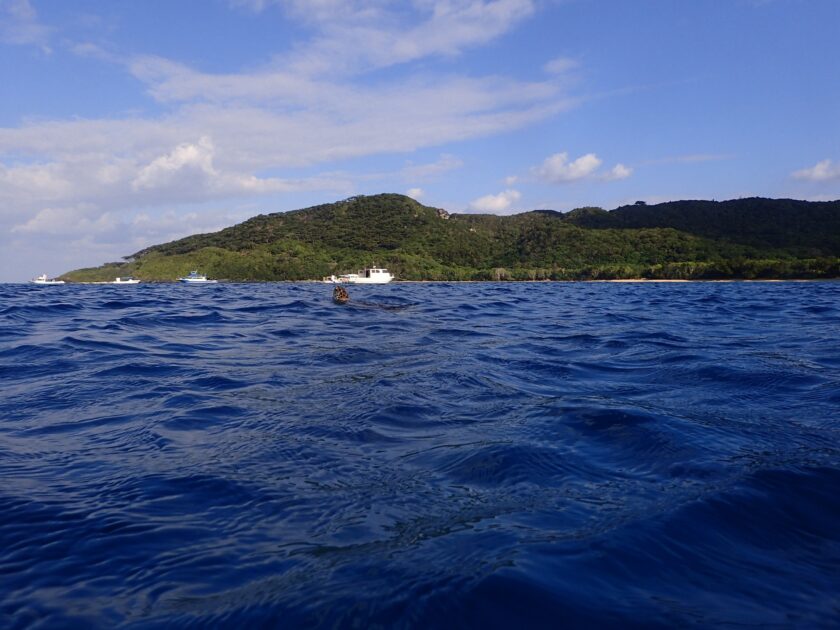 石垣島は夏日だよ～☆彡