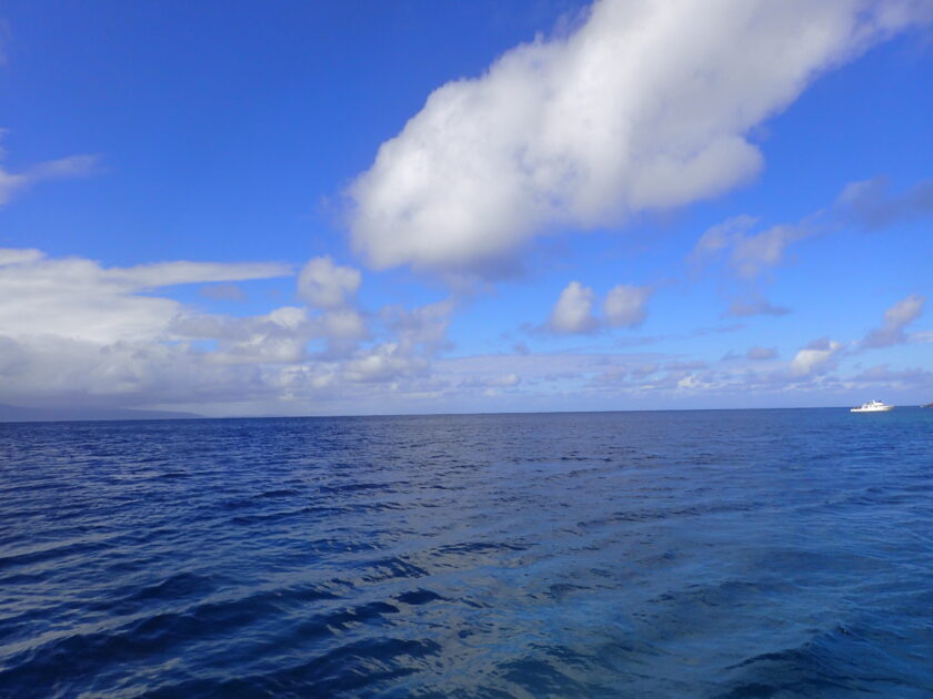 透視度抜群でしたよ石垣島☆彡