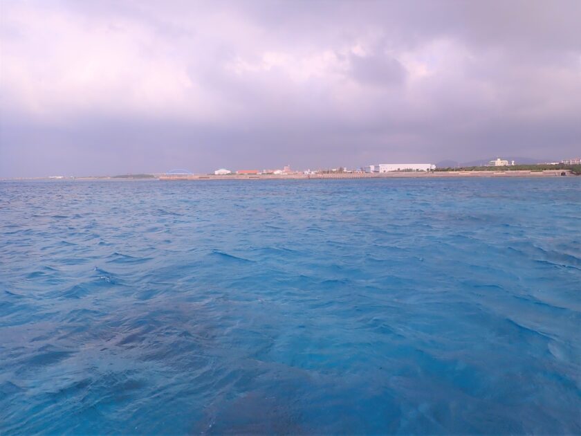 海も魚も瑠璃色