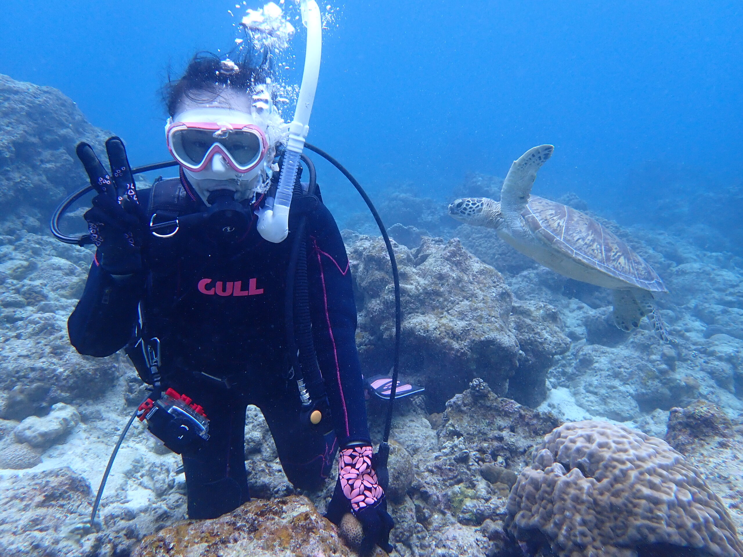 2023初潜り|石垣島ダイビングおすすめ|南ぬ島 DIVE SITE