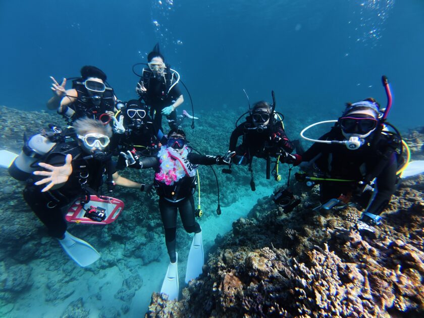 マンタ10枚ぐらい居たような