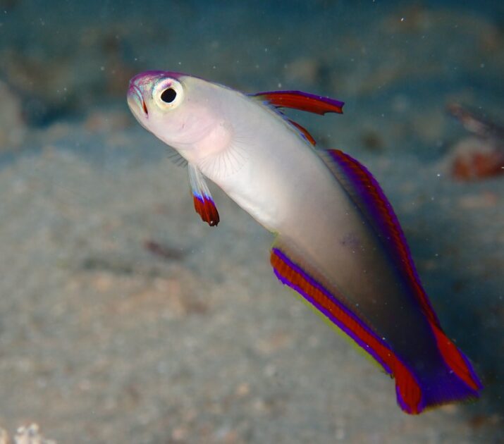 マンツーマンでマクロ☆