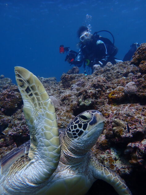 黄色のジョー君