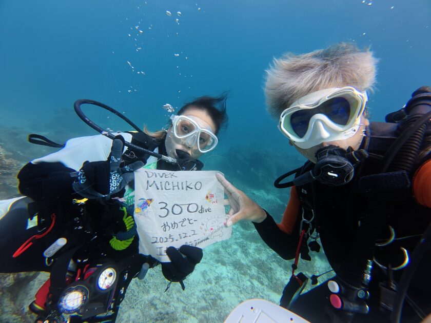 メモリアル300dive