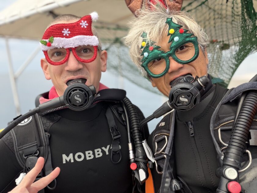 生き物大好き！「水中クリスマス・リース」観察記