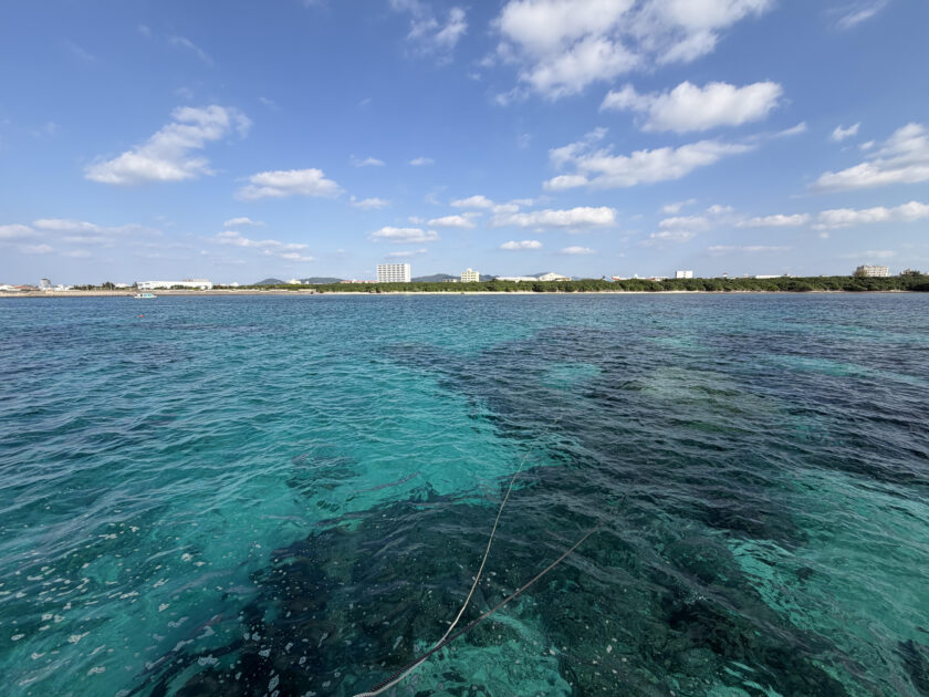 ハイチーズでライセンスGET