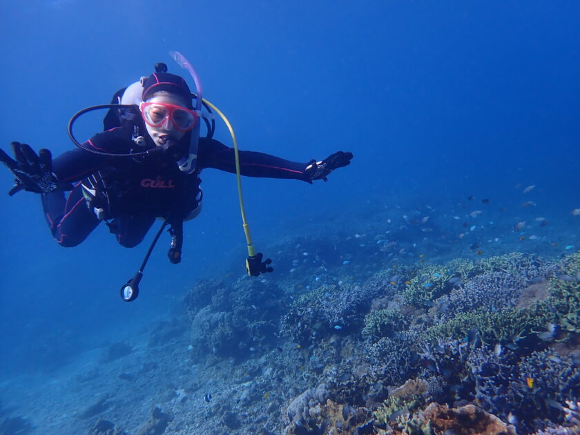 羽ばたくダイバー
