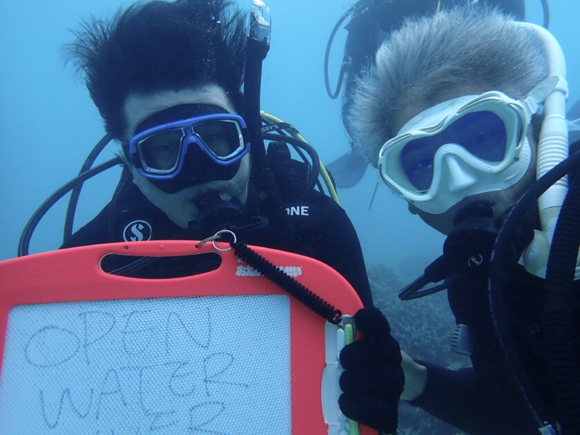 ピンクのウミウチワには！