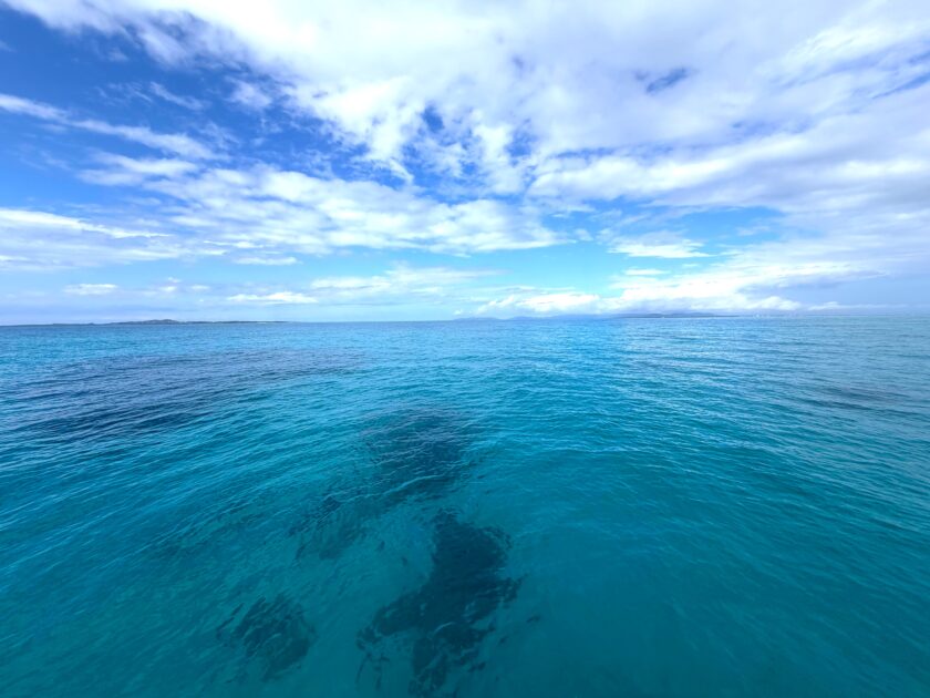 ゆるりと砂地で