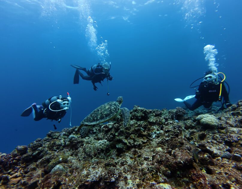 黒島ブルーな海で